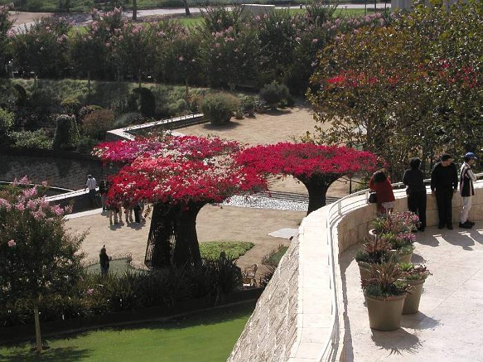 Museum Garden